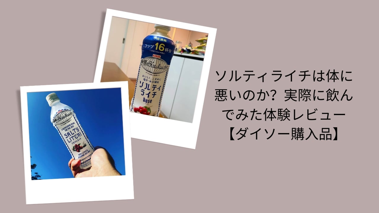 ソルティライチ 体に悪い, ソルティライチ 健康影響, ソルティライチ 飲んでみた レビュー, ダイソー ソルティライチ 評判, ソルティライチ デメリット