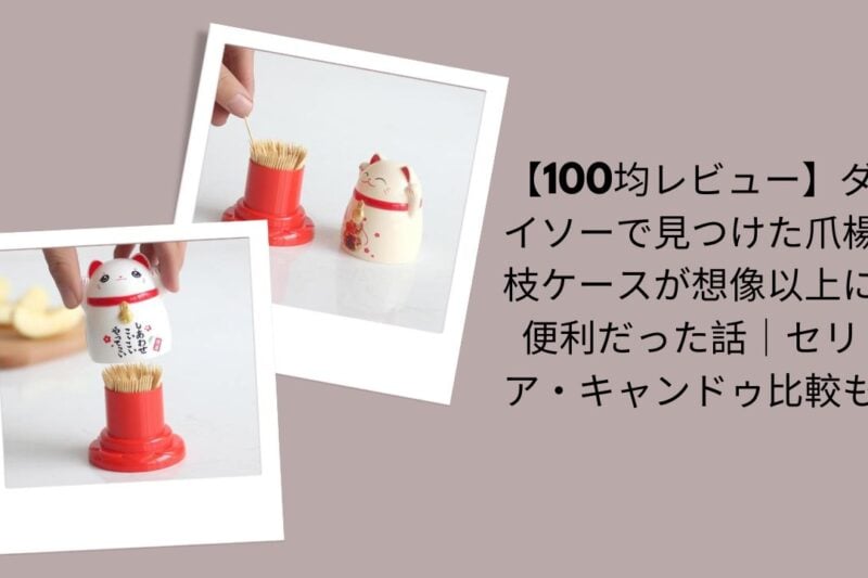 100均爪楊枝ケースレビュー, ダイソー爪楊枝ケース便利すぎる実体験, セリア・キャンドゥ爪楊枝ケース比較レビュー, 100均爪楊枝ケース使って分かったこと