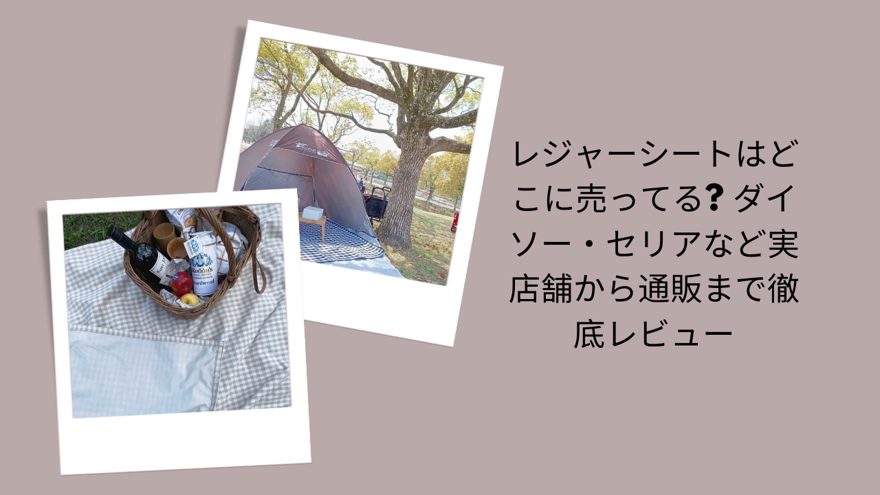 レジャーシート どこに売ってる, レジャーシート ダイソー セリア, レジャーシート 店舗 通販 比較, レジャーシート おすすめ 100均